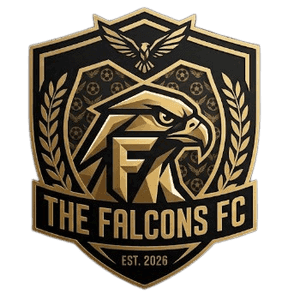 Falcons fc