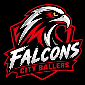 Falcon City Ballers