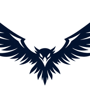 Raven FC