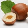 hazel nut
