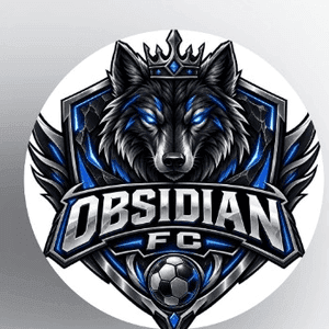 Obsidian fc
