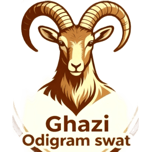Ghazi FC Swat