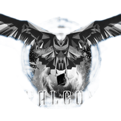 Falcon fc